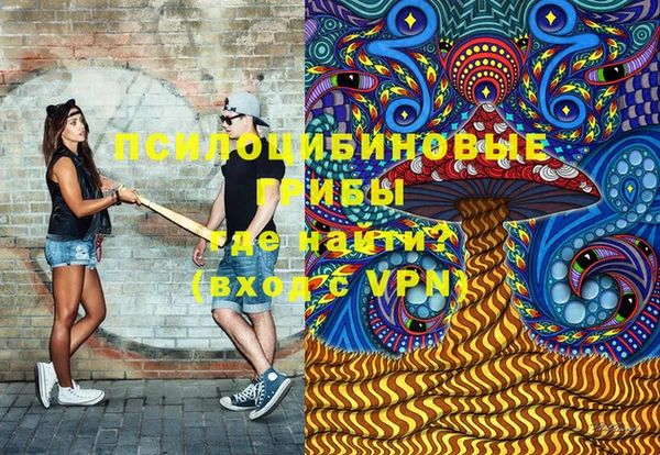 спиды Арсеньев